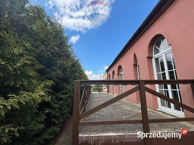 Agroturystyka z mieszkaniem koło Sztumu Sprzedaż Krasna Łąka