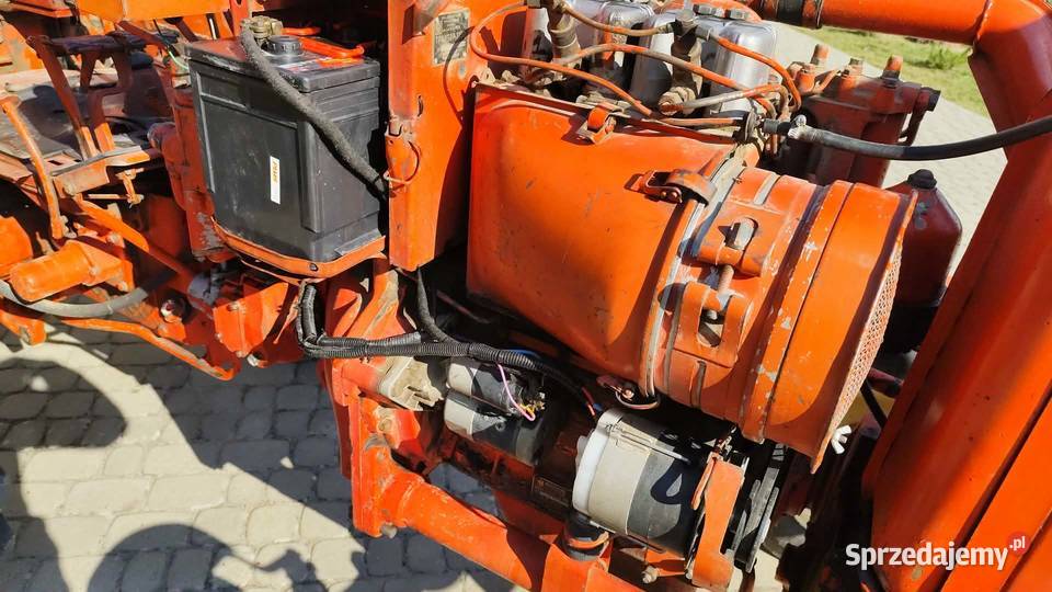 Władimirec pierwszy właściciel Grodzisko Dolne