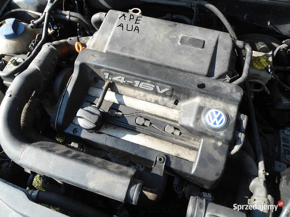 volkswgen golf 4 na czesci 14b lubelskie Radzyń Podlaski