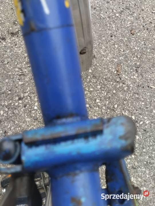 Składek Jubilat Miejskie Ostrowiec Świętokrzyski