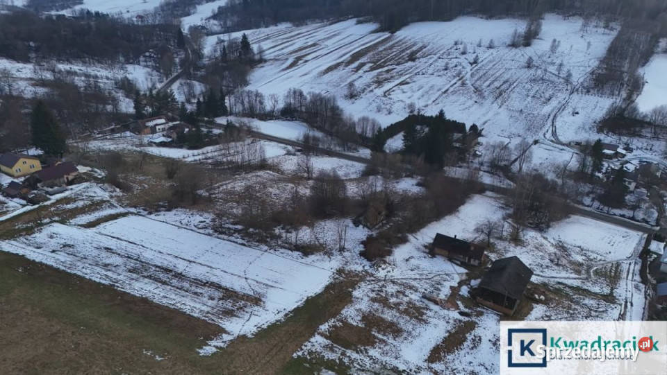 Grunt 4100m2 Pietrusza Wola