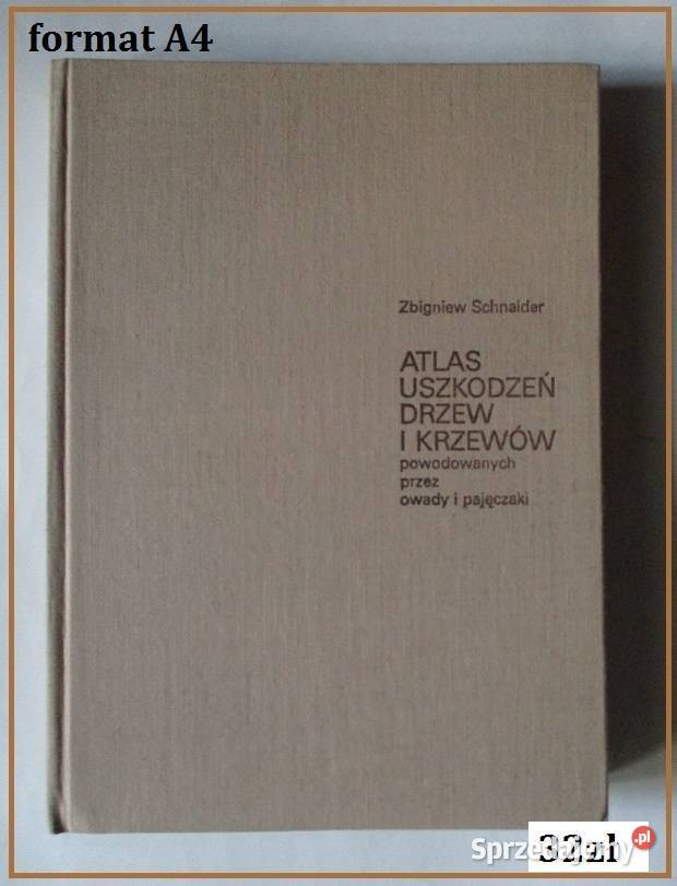 Botanika techników leśnych Obmiński botanika łódzkie Łódź