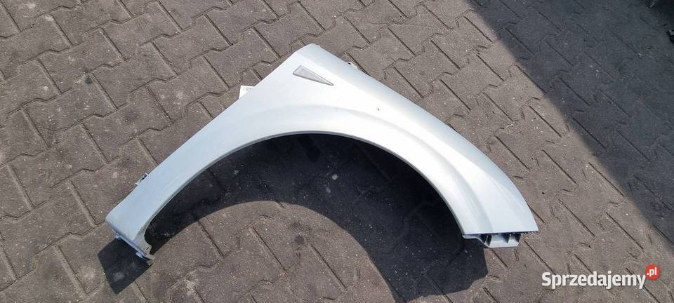 BŁOTNIK LEWY PRZÓD RENAULT SCENIC II Lipno sprzedam
