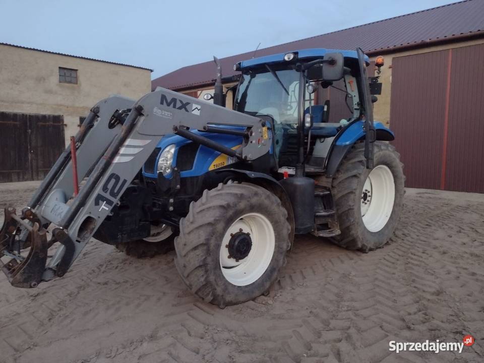 Tur do Hollanda kujawsko-pomorskie Jastrzębie sprzedam