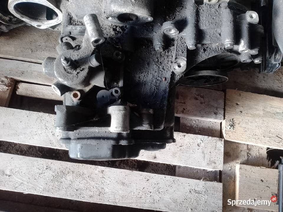 Skrzynia biegów golf 5 19 jcr wielkopolskie Szamocin