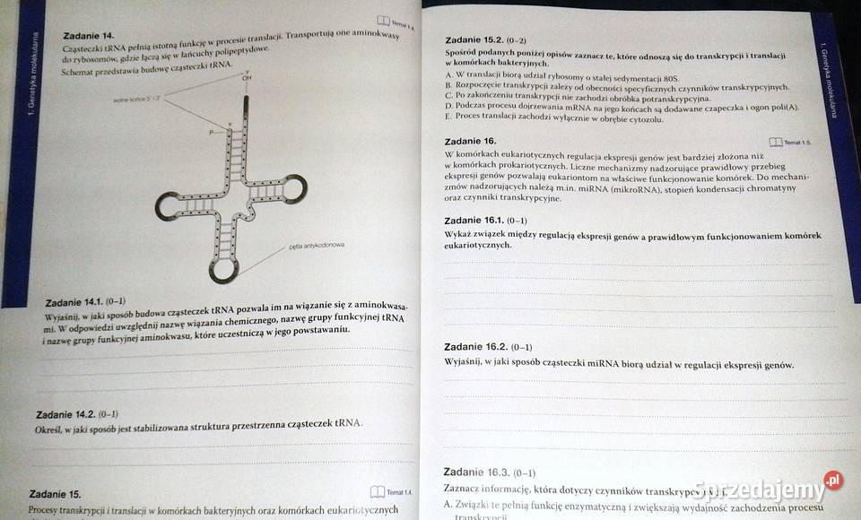 Biologia na czasie 4 Maturalne karty pracy B Chełm