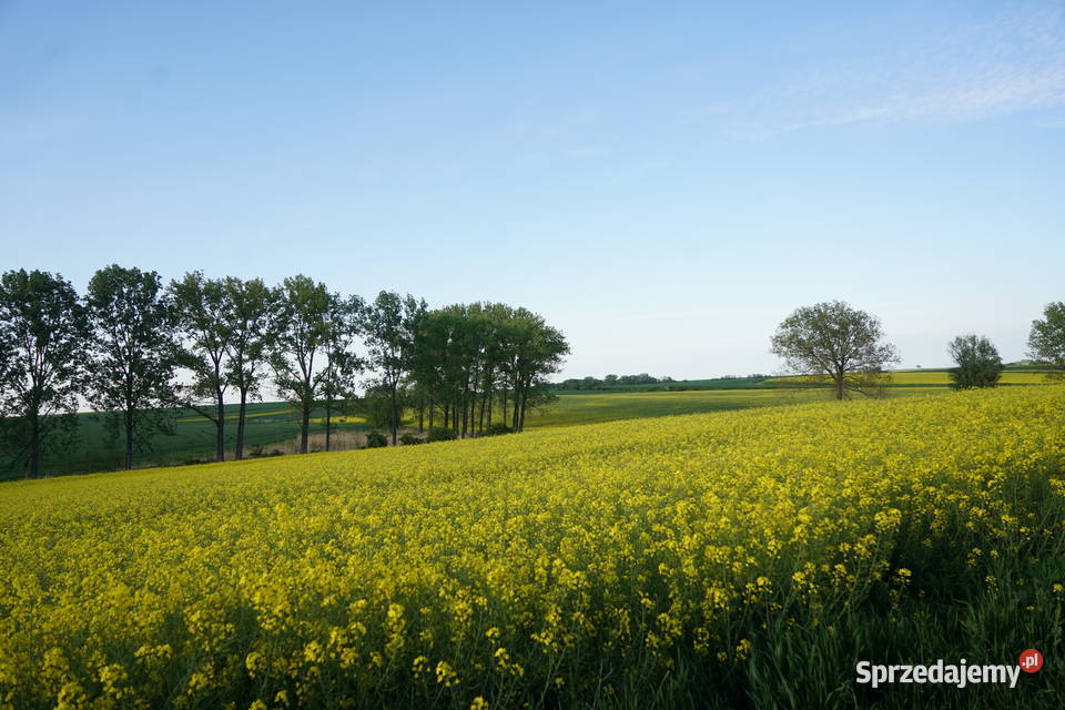Działka rolna rolna sprzedam