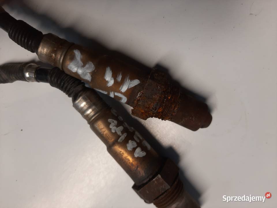 Fiat Linea Albea 14 8V sonda lambda sprzedam