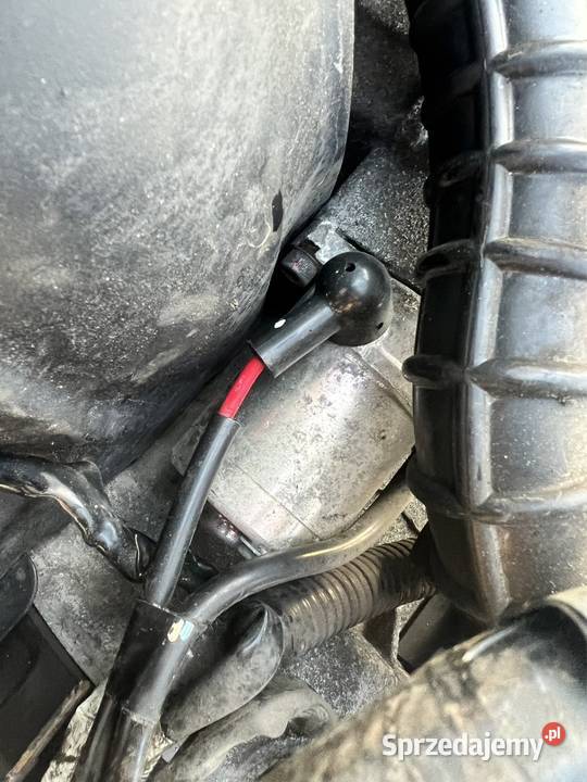 Rozrusznik Yamaha Delight 115 Ostrzeszów