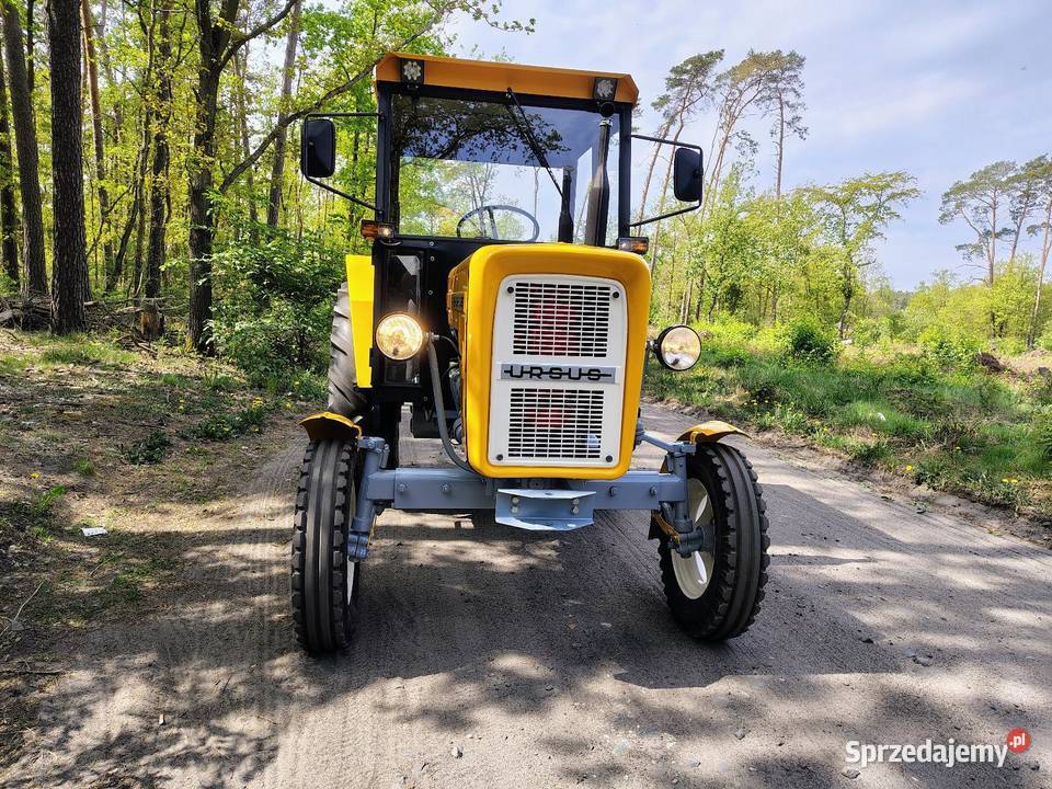 Ursus c360 Toruń