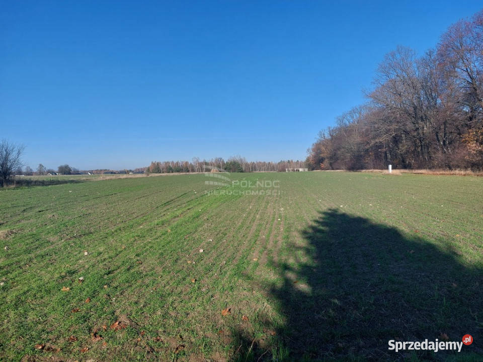 Działki budowlane Styrzyniec k Białej Podlaskiej