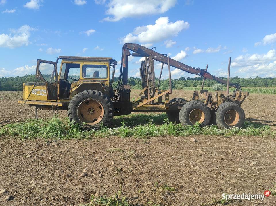 Forwarder Leśnictwo Brudzeń Duży
