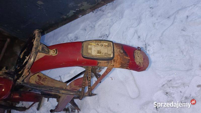 Komar sztywniak Motoryzacja Świętochłowice