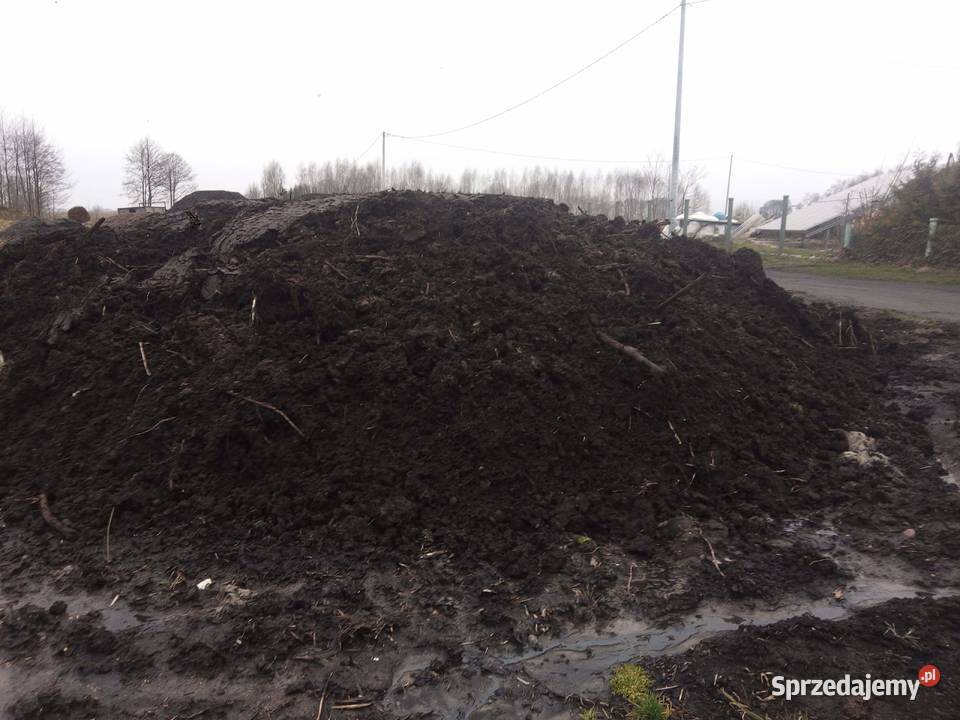 Ziemia ogrodowa torf TRANSPORT Dobrzyń nad Wisłą