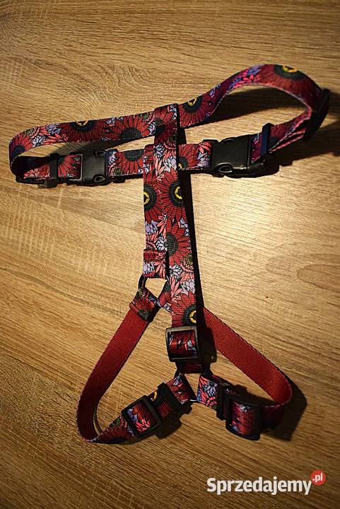 Szelki psa z serii Story Carnival marki Chaba kujawsko-pomorskie Chełmno