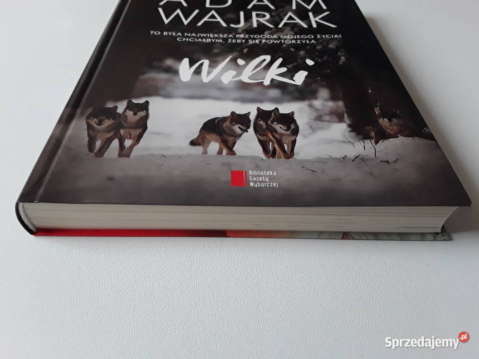 WILKI Adam Wajrak Gorzów Wielkopolski