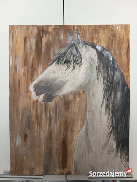 Obraz portret konia
