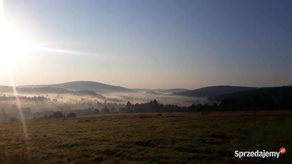 Działka 13 ha Beskid Niski Wołowiec widokowa 59zł/m2