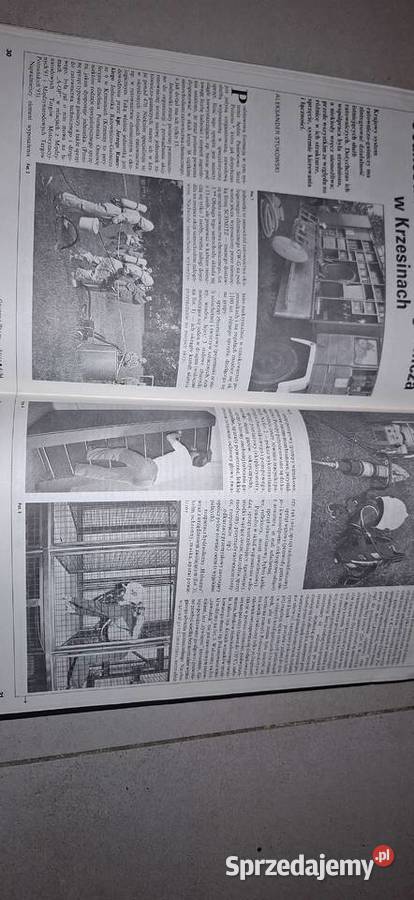 ATEST BHP 41994 kolekcjonerski unikat z epoki wielkopolskie