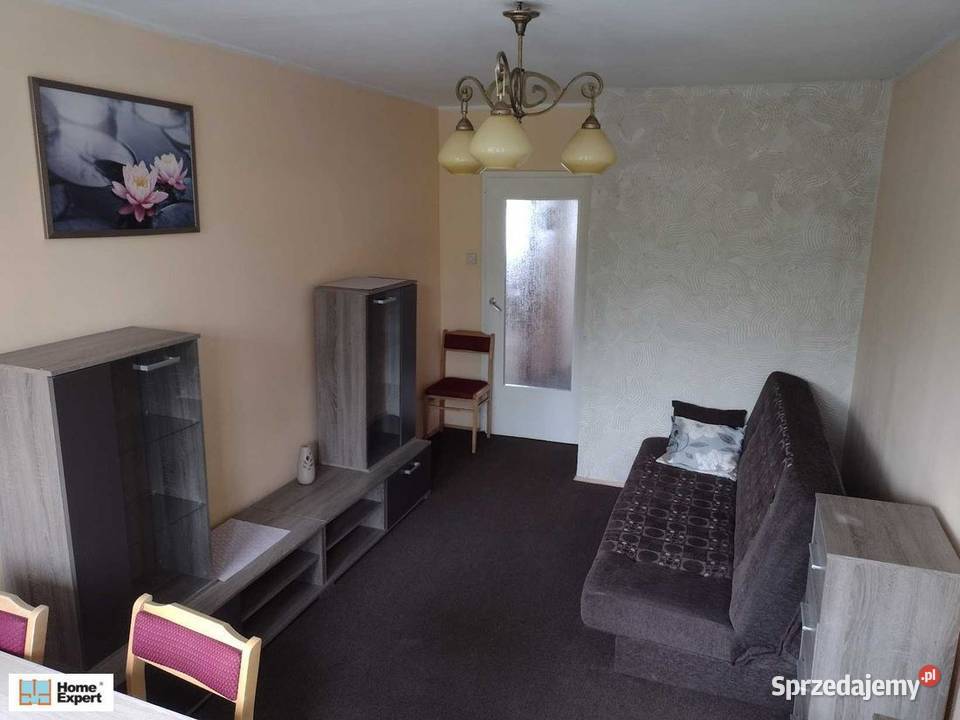2pok 42met Zajęczej WINDAPEŁEN ROZKŁADBALKON dolnośląskie Wrocław sprzedam