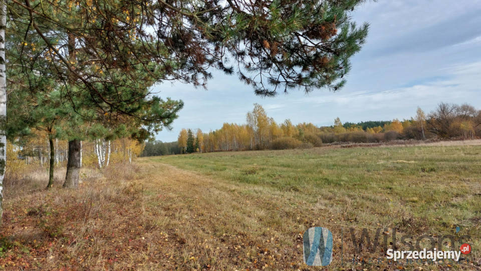 Ogłoszenie dom bliźniak 10151m2 Kąck