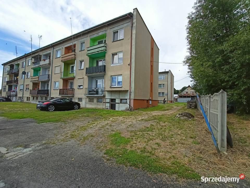 Syndyk sprzeda nieruchomość lokalową w Buczku 65.3m2 Sprzedaż wielkopolskie Rychtal