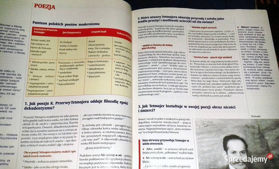 Cogito Język polski 6 Pytania i odpowiedzi Chełm