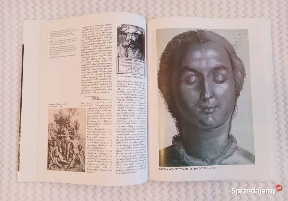 Albrecht Durer Wielka Kolekcja Sławnych Malarzy Poradniki, albumy i reportaże małopolskie Kraków