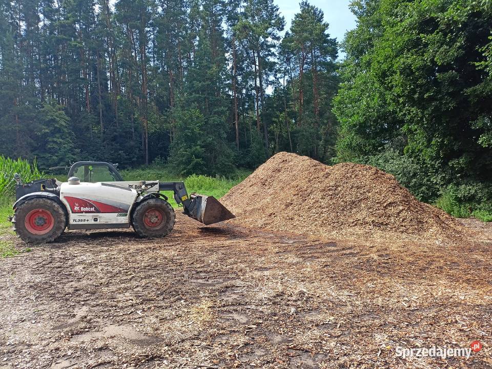 Zrębka leśna opał drzewo podłoże ściółka Kumiała