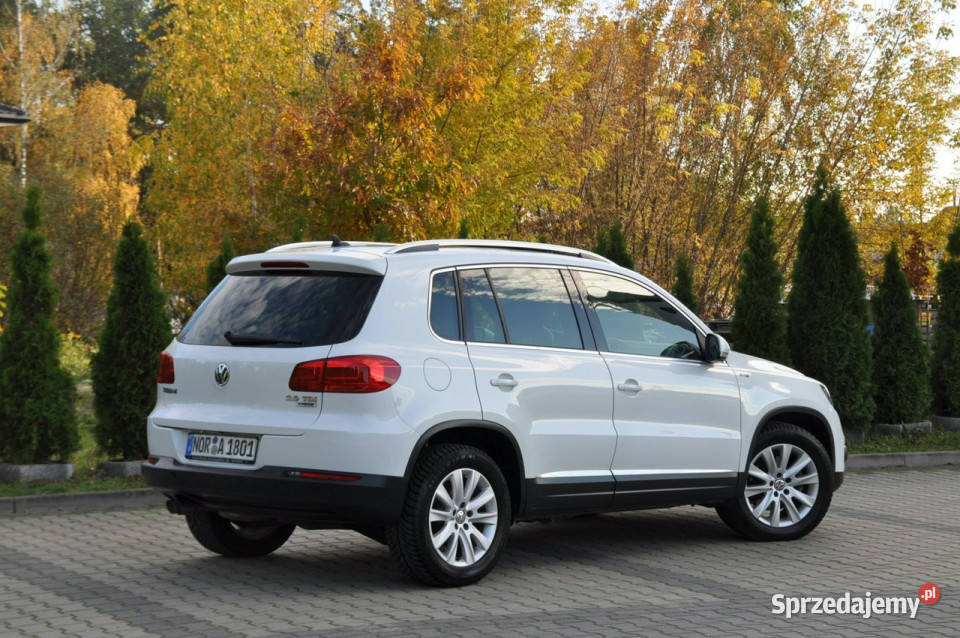 Volkswagen Tiguan 20TDI110LiftLoungeDuża Motoryzacja