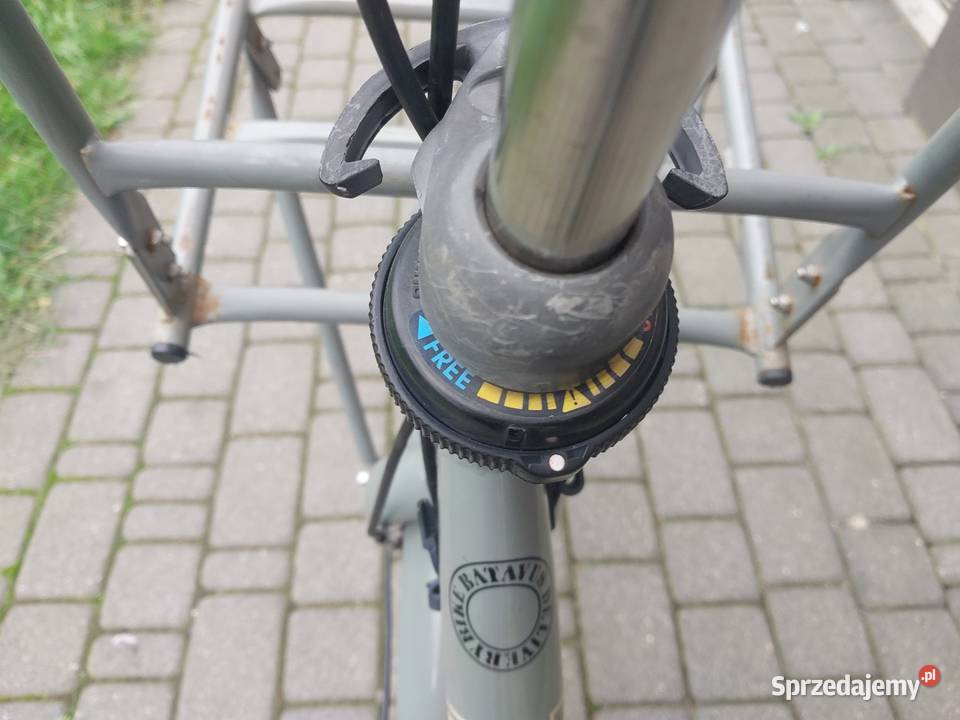 Batavus Delivery Bike rower damski Turek