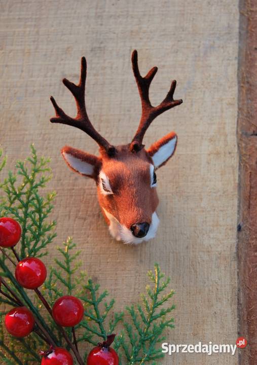 Jeleń głowa jelenia poroże trofeum magnes 3D lubelskie Lublin