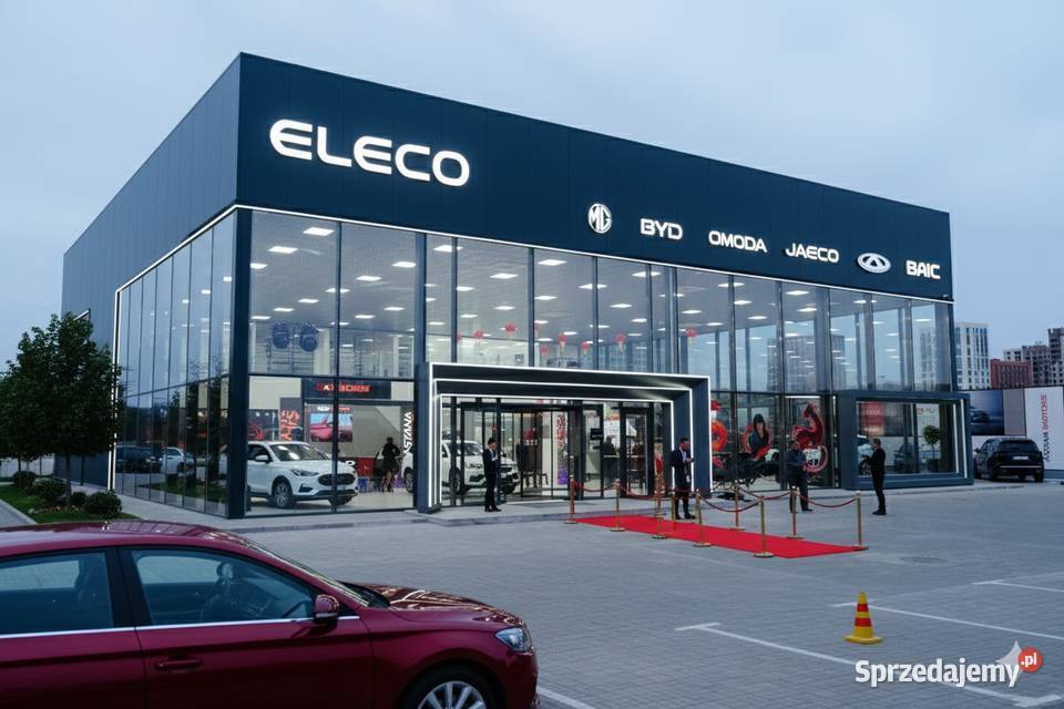 Domena eleco znak towarowy salon DFSK Kia Tesla Nisko sprzedam
