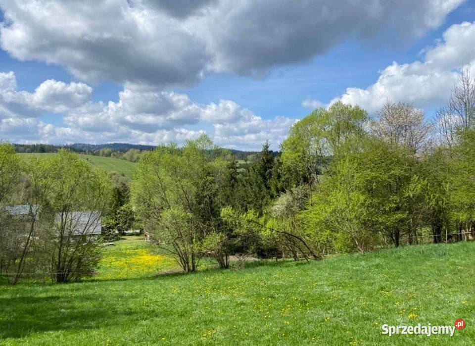 Dom na sprzedaż miejscowość Czarna powiat sprzedam