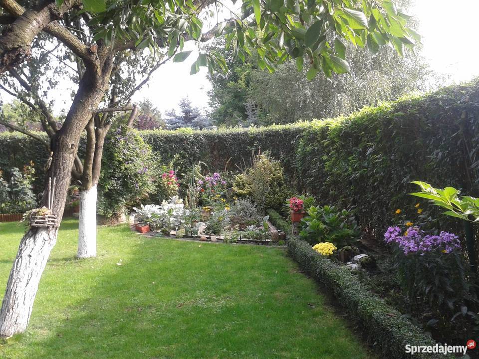 DZIAŁKA rekreacyjna Grudziądz