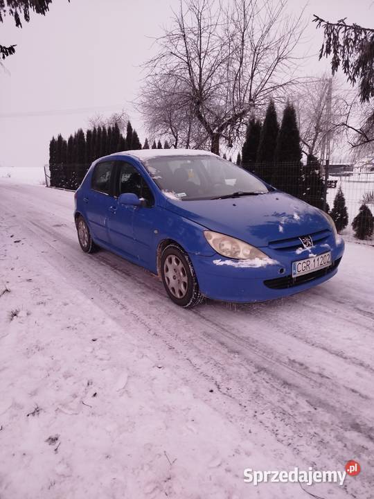 Peugeot 307 14 hdi Radzyń Chełmiński