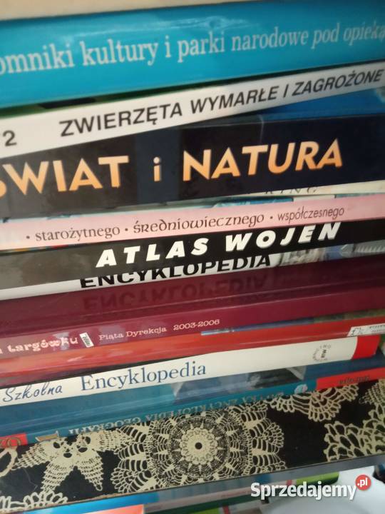 Florian z Wielkiej Hłuszy Maria Rodziewiczówna A Dla Dziecka Warszawa