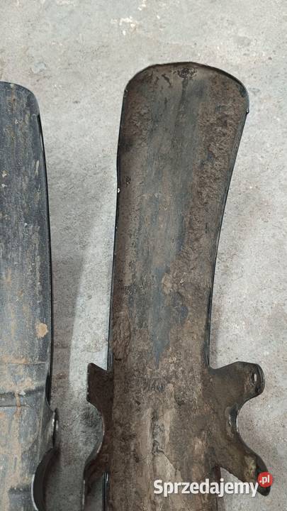 Błotniki Mz etz Łapy