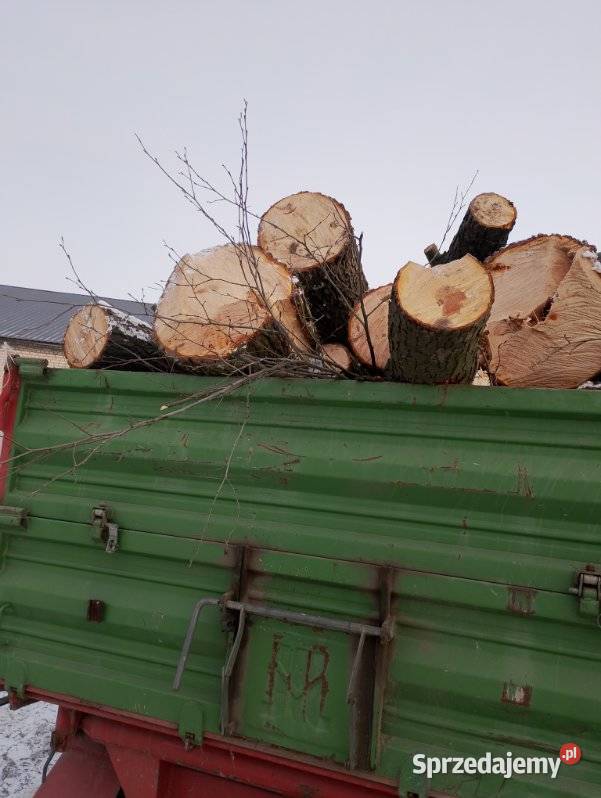 Drzewo olszyna paletówka paletowe opałowe Korzenica