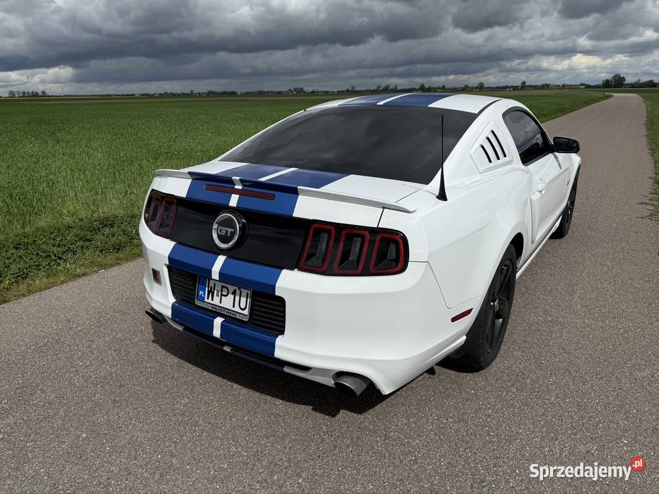 Ford mustang 50 gt 2014 biały Bielsk