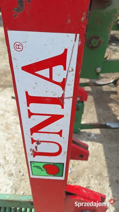 Unia Kos Zęby 7 komplet Orneta
