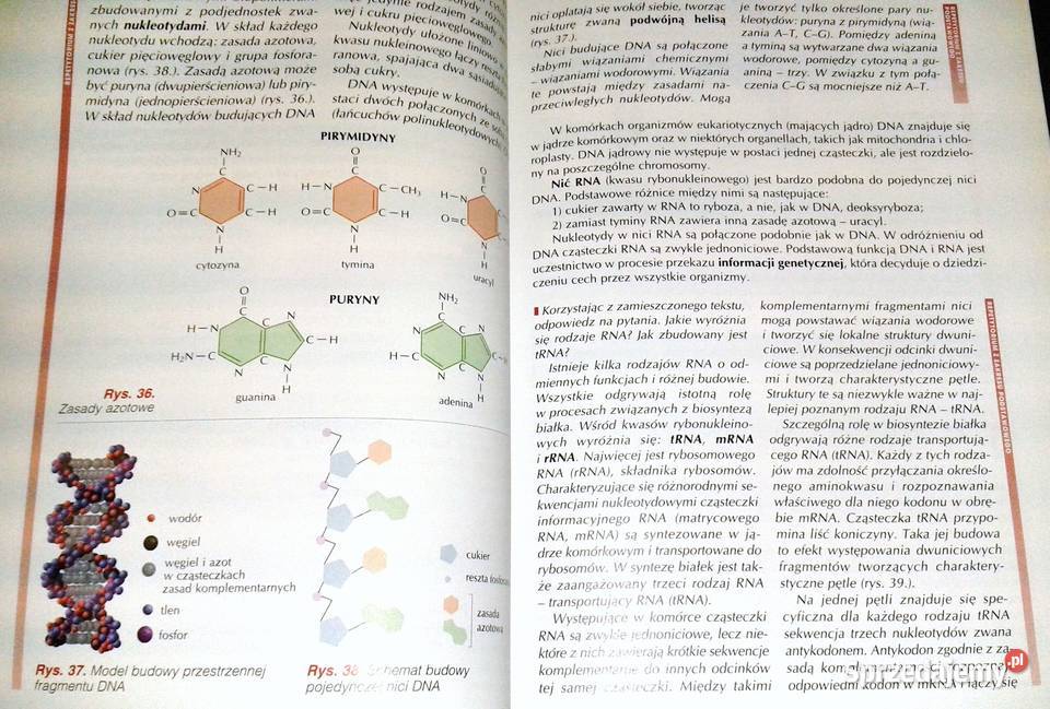 Biologia 1 A Kornaś Z Miszalski M Kłyś R Chełm