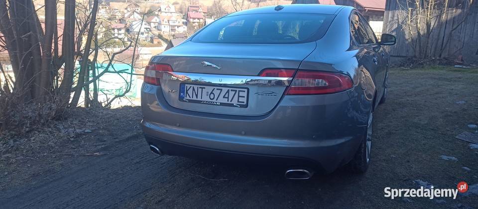 Jaguar XF małopolskie