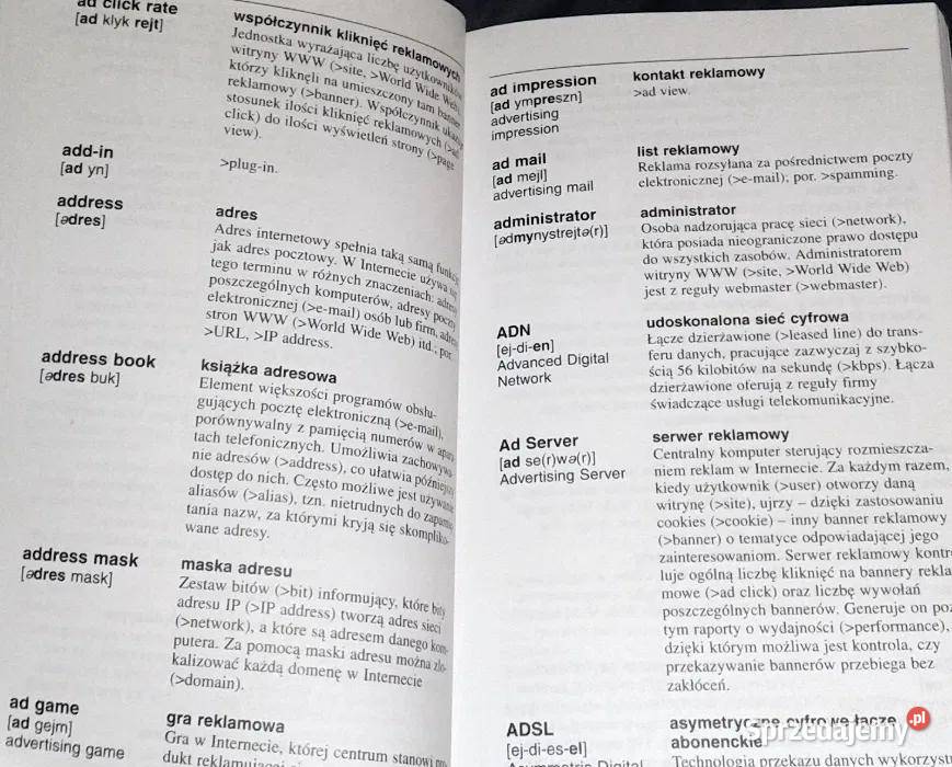 Internet Słownik angielsko polski A Kędziorek Chełm