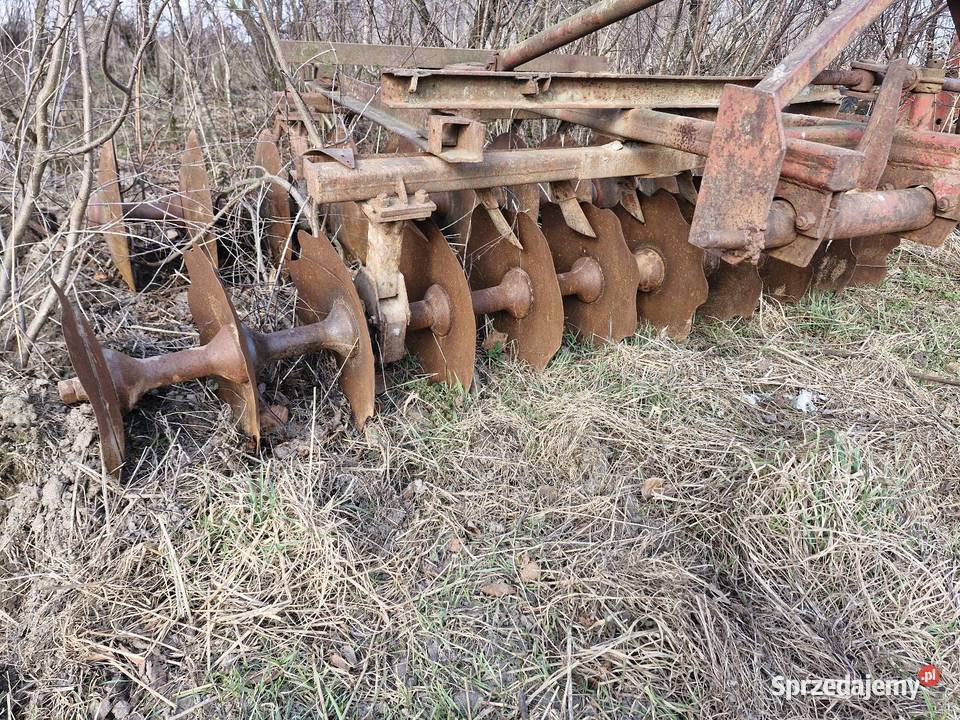 Talerzówka Pomieczyno sprzedam