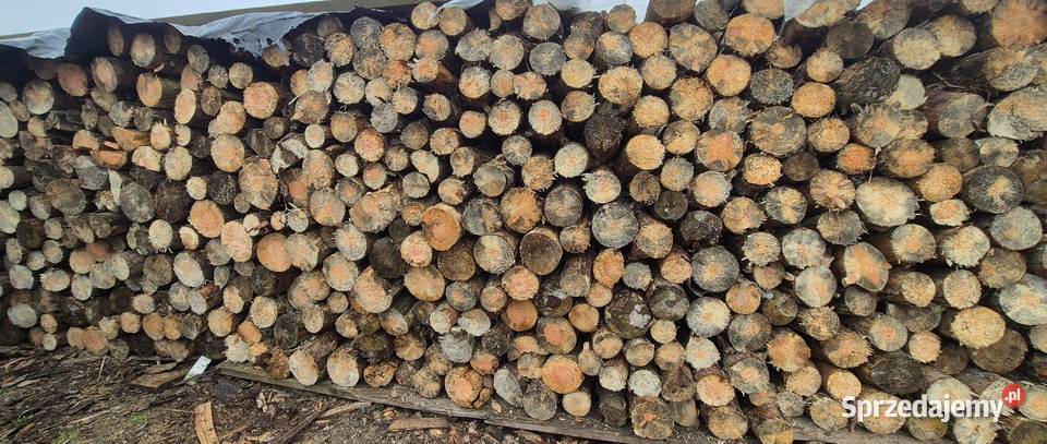 Drewno kominkowe opałowe sosna dąb brzoza Kurnędz
