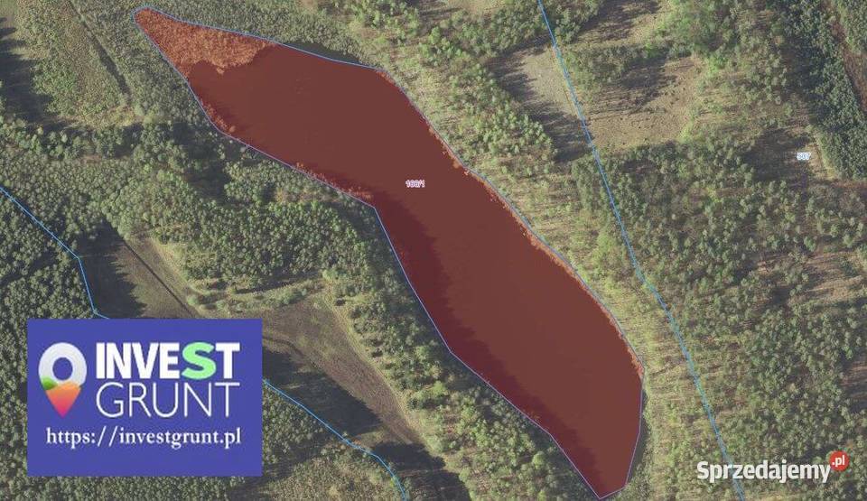 603 ha przetarg na dzierżawę jeziora Moczydło