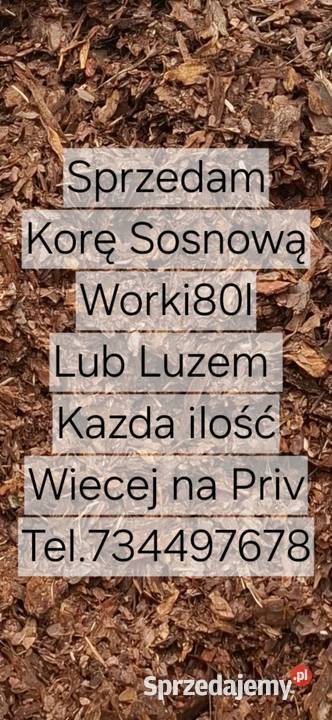 Kora Ogrodowa kujawsko-pomorskie Więcbork sprzedam