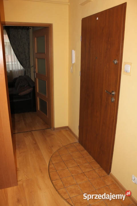 DO WYNAJĘCIA mieszkanie 3pok Pszona 41 69 m2 Kraków