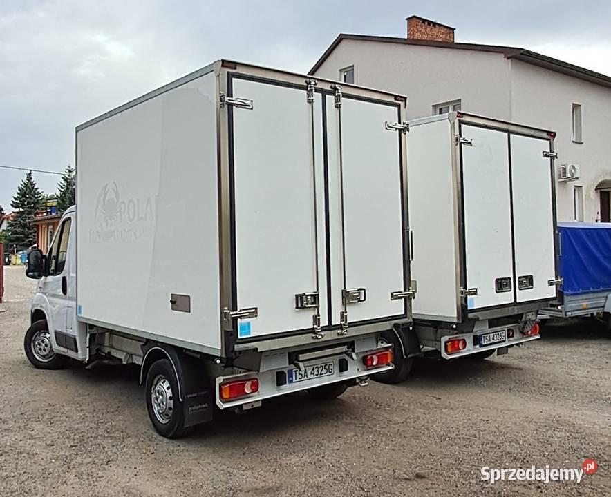 FIAT DUCATO 23jtd 130 2016r CHŁODNIA MROŹNIA 25 Fiat Sandomierz